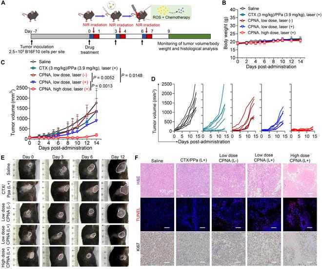 https://cdn.ncbi.nlm.nih.gov/pmc/blobs/46d6/11529783/fb10a7bdc086/bmr.0101.fig.009.jpg