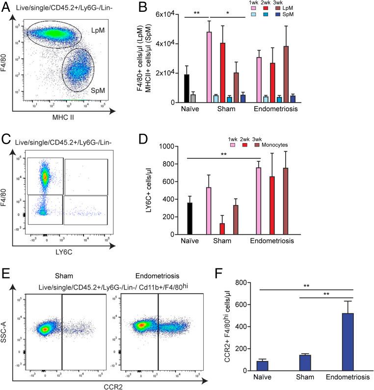 https://cdn.ncbi.nlm.nih.gov/pmc/blobs/46ec/8017702/3df934ce74dc/pnas.2013776118fig02.jpg