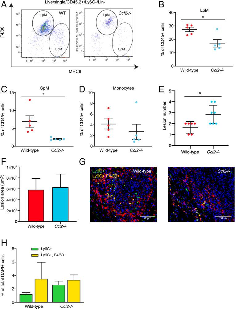 https://cdn.ncbi.nlm.nih.gov/pmc/blobs/46ec/8017702/9d32384b3195/pnas.2013776118fig05.jpg