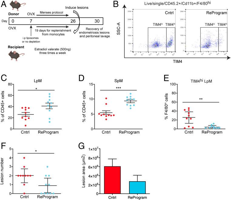 https://cdn.ncbi.nlm.nih.gov/pmc/blobs/46ec/8017702/b28eee8ae1b7/pnas.2013776118fig07.jpg
