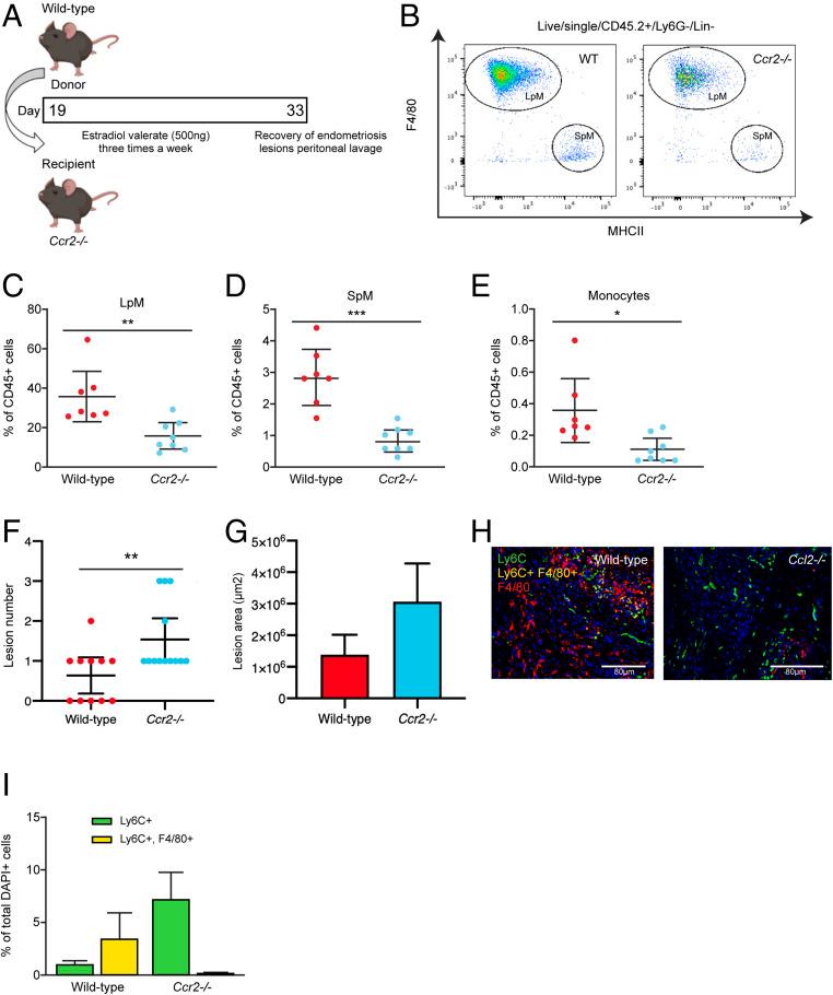 https://cdn.ncbi.nlm.nih.gov/pmc/blobs/46ec/8017702/f299b2a90334/pnas.2013776118fig04.jpg