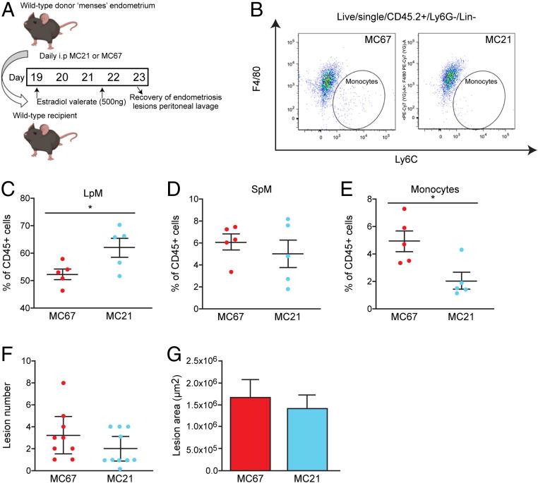 https://cdn.ncbi.nlm.nih.gov/pmc/blobs/46ec/8017702/fad73e4f7c21/pnas.2013776118fig06.jpg