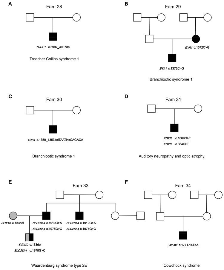 https://cdn.ncbi.nlm.nih.gov/pmc/blobs/46ef/11673014/79c16ce4fea1/biomedicines-12-02657-g003.jpg