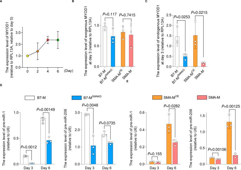 https://cdn.ncbi.nlm.nih.gov/pmc/blobs/46f0/9834662/37e63aa38a13/LSA-2022-01457_FigS2.jpg