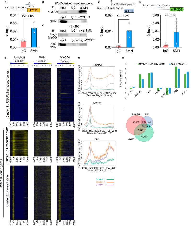 https://cdn.ncbi.nlm.nih.gov/pmc/blobs/46f0/9834662/7a3f7926cbcc/LSA-2022-01457_FigS5.jpg