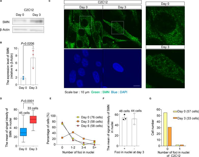 https://cdn.ncbi.nlm.nih.gov/pmc/blobs/46f0/9834662/d902f94eedc8/LSA-2022-01457_FigS4.jpg