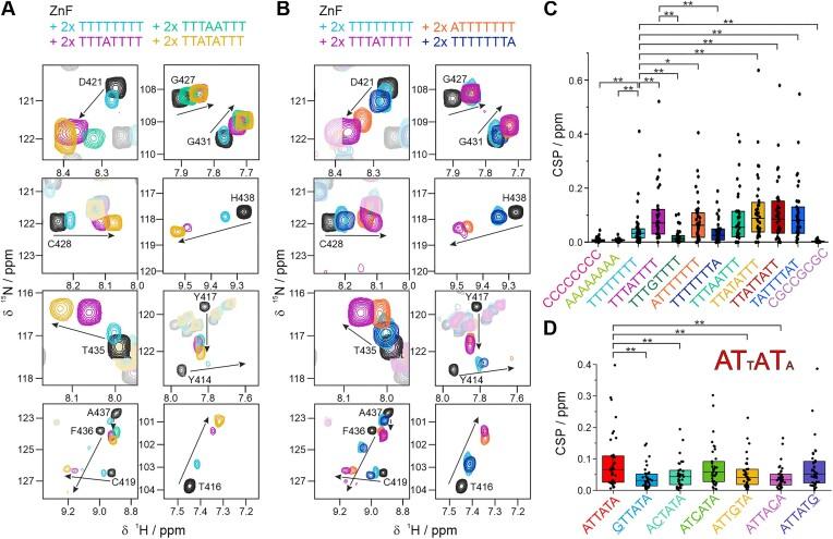 https://cdn.ncbi.nlm.nih.gov/pmc/blobs/46fa/11381341/e1e019798468/gkae555fig4.jpg