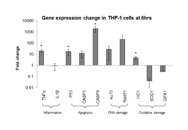 https://cdn.ncbi.nlm.nih.gov/pmc/blobs/4747/3766213/e632678a88bb/1743-8977-10-42-10.jpg
