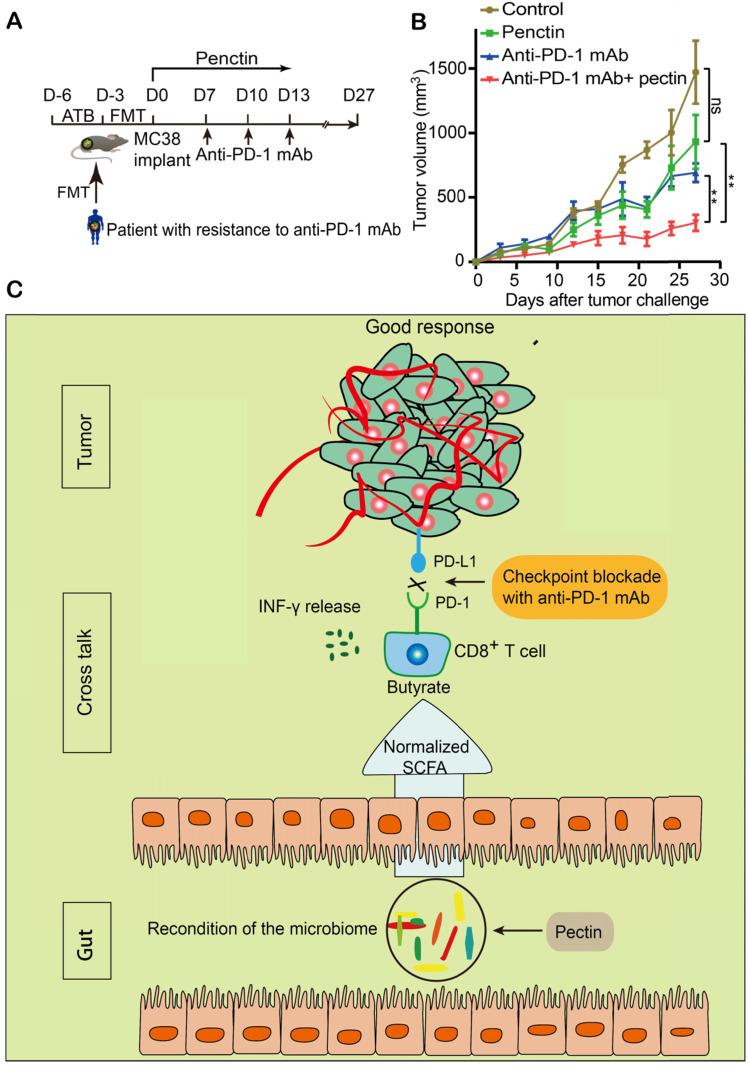 https://cdn.ncbi.nlm.nih.gov/pmc/blobs/474e/7977465/8a8e474e662d/thnov11p4155g008.jpg