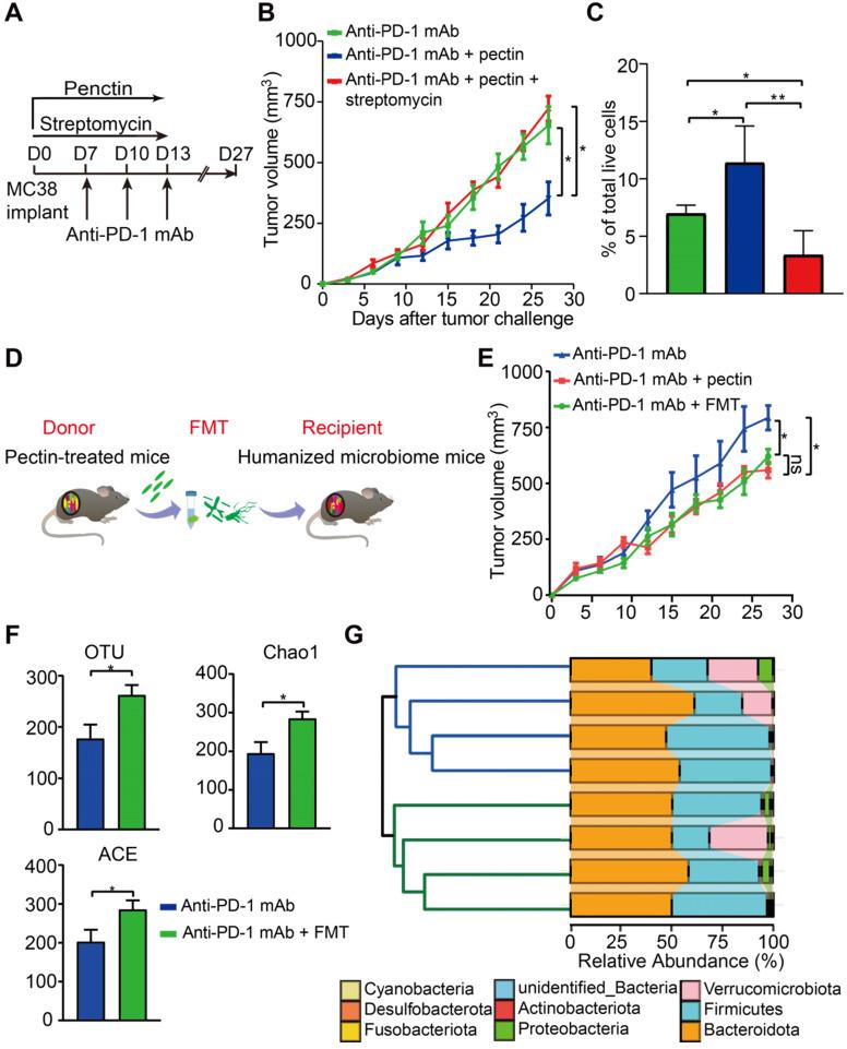 https://cdn.ncbi.nlm.nih.gov/pmc/blobs/474e/7977465/a49084cfe209/thnov11p4155g006.jpg