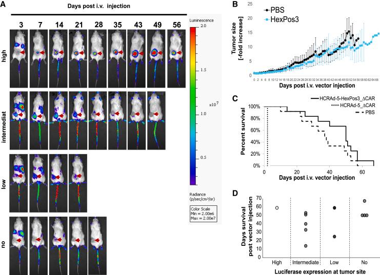 https://cdn.ncbi.nlm.nih.gov/pmc/blobs/4755/11699628/9efcb0feeb6a/gr6.jpg