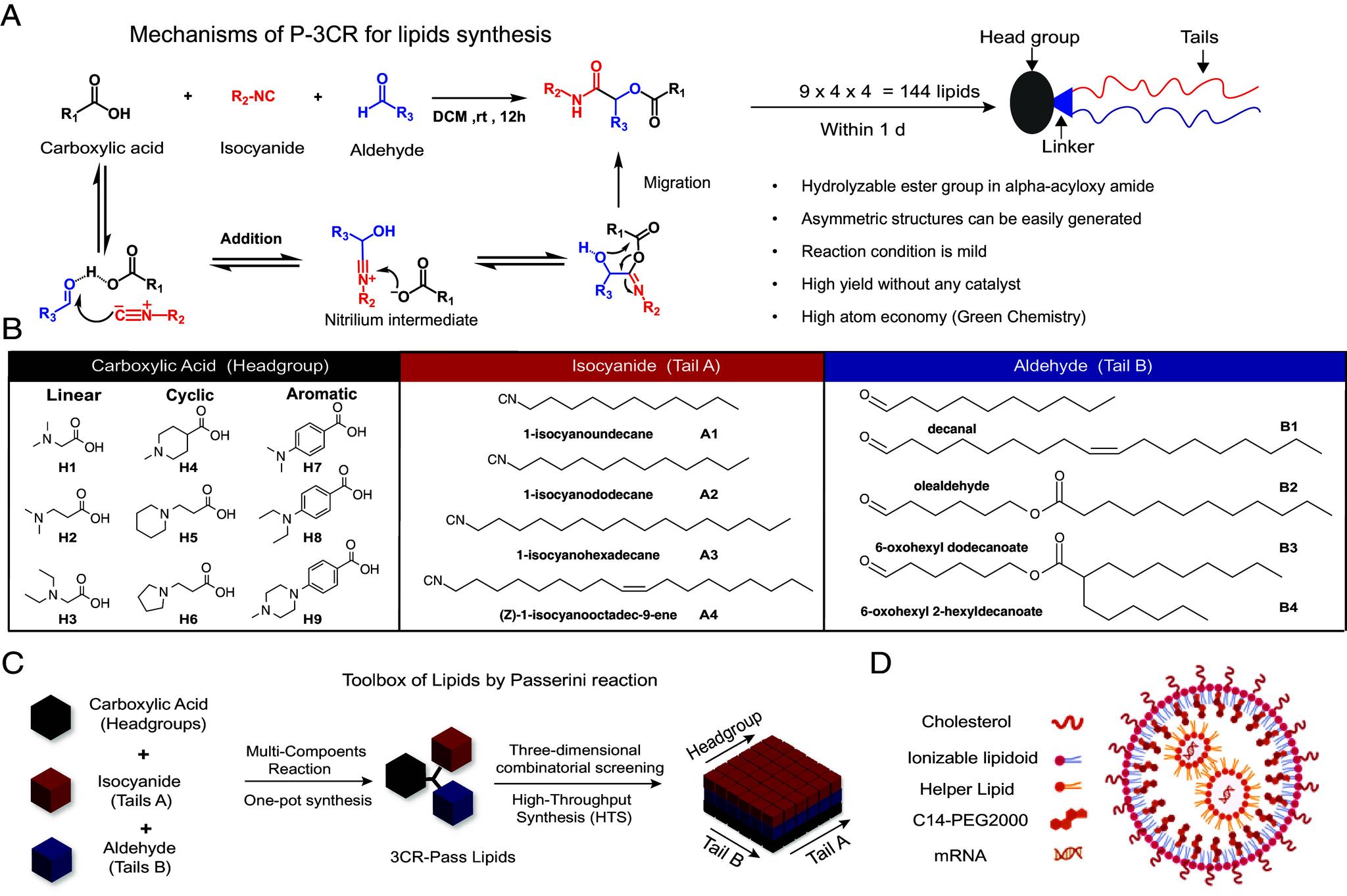 https://cdn.ncbi.nlm.nih.gov/pmc/blobs/4757/11804478/80e1a6bbd0d4/pnas.2409572122fig01.jpg