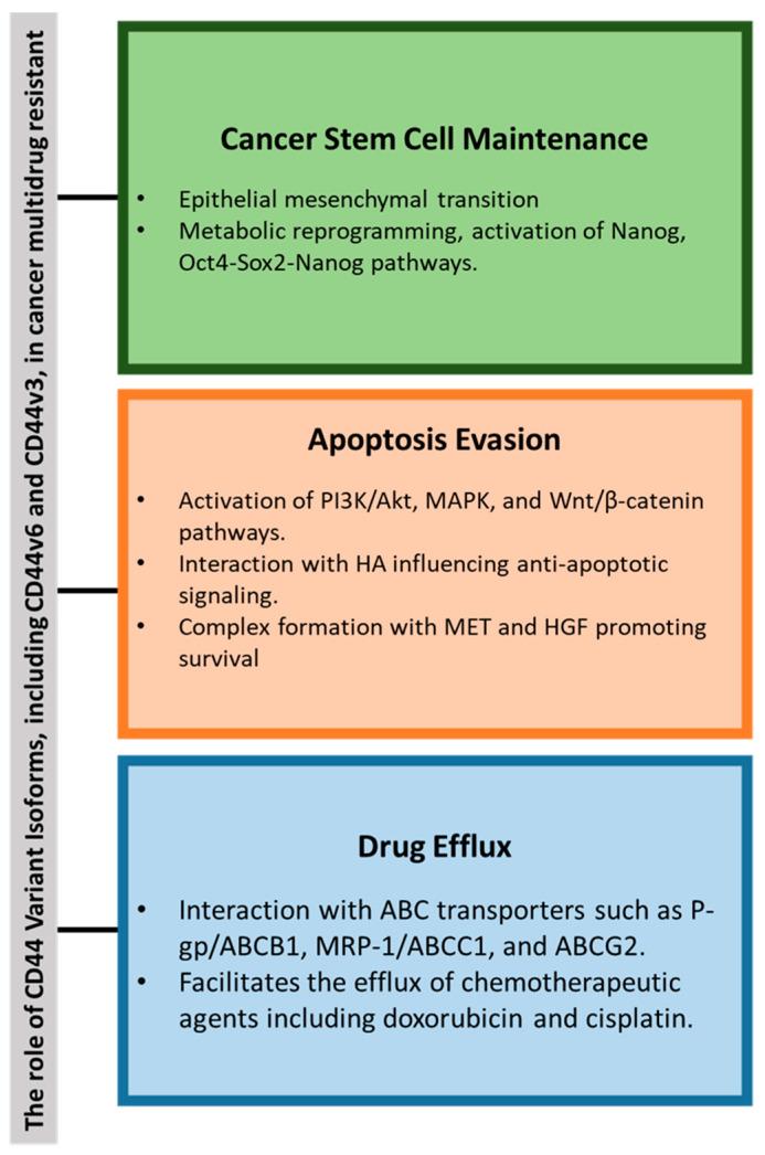 https://cdn.ncbi.nlm.nih.gov/pmc/blobs/475b/12073131/d538cf334617/molecules-30-01899-g004.jpg