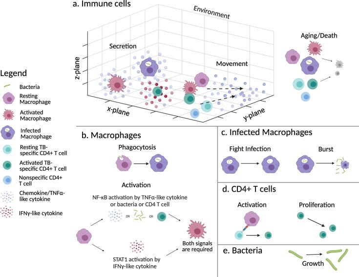 https://cdn.ncbi.nlm.nih.gov/pmc/blobs/4762/11915833/1305c38cc14d/msystems.01290-24.f001.jpg