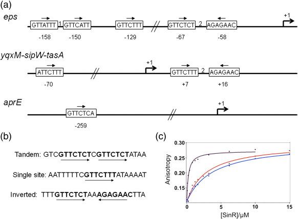 https://cdn.ncbi.nlm.nih.gov/pmc/blobs/47c4/3163267/d652e1698f06/gr3ac.jpg