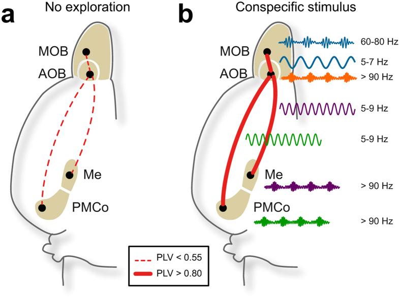 https://cdn.ncbi.nlm.nih.gov/pmc/blobs/47c4/5577179/abbf8a268308/41598_2017_10089_Fig8_HTML.jpg