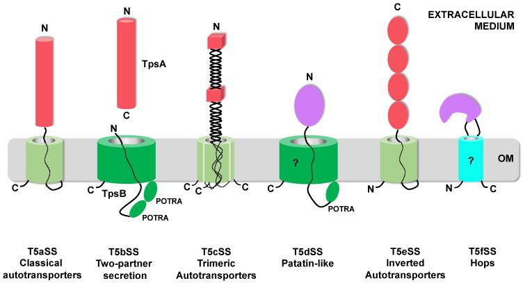 https://cdn.ncbi.nlm.nih.gov/pmc/blobs/47f2/8151025/6e73f449e996/toxins-13-00341-g001.jpg