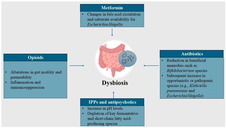 https://cdn.ncbi.nlm.nih.gov/pmc/blobs/47fc/11852119/32469dfc40d7/antibiotics-14-00138-g001.jpg