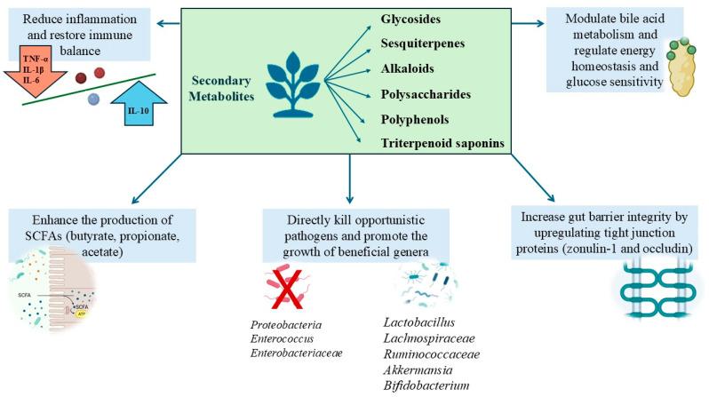 https://cdn.ncbi.nlm.nih.gov/pmc/blobs/47fc/11852119/f2a5a0a3ac04/antibiotics-14-00138-g002.jpg