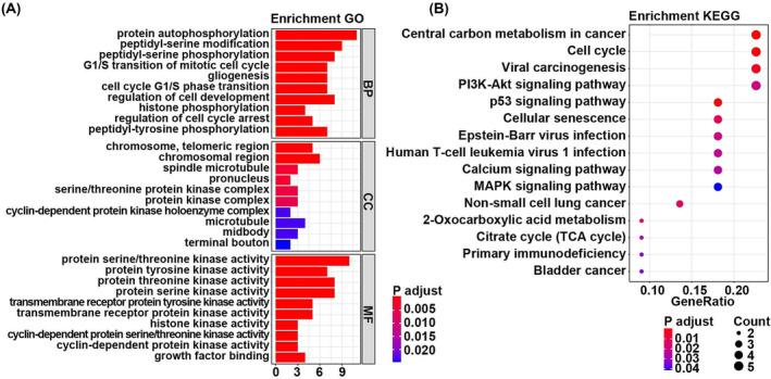 https://cdn.ncbi.nlm.nih.gov/pmc/blobs/47fd/10730453/712a29e2f948/CRJ-17-1349-g004.jpg