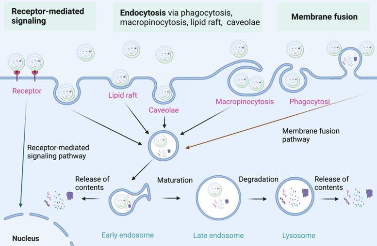 https://cdn.ncbi.nlm.nih.gov/pmc/blobs/47ff/9516228/7e924645d037/thnov12p6576g004.jpg