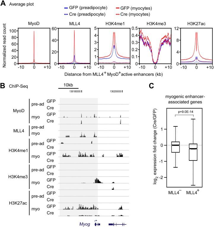 https://cdn.ncbi.nlm.nih.gov/pmc/blobs/4800/3869375/146299c3b73f/elife-01503-fig7-figsupp2.jpg