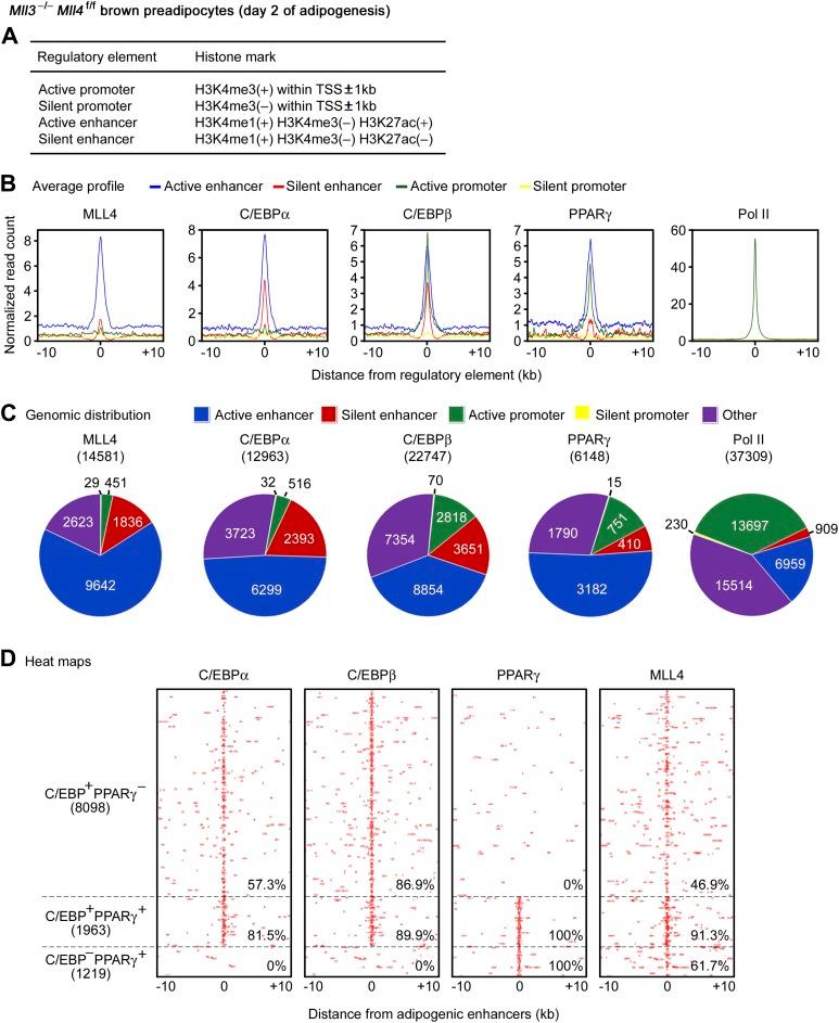 https://cdn.ncbi.nlm.nih.gov/pmc/blobs/4800/3869375/68830729fa18/elife-01503-fig5.jpg