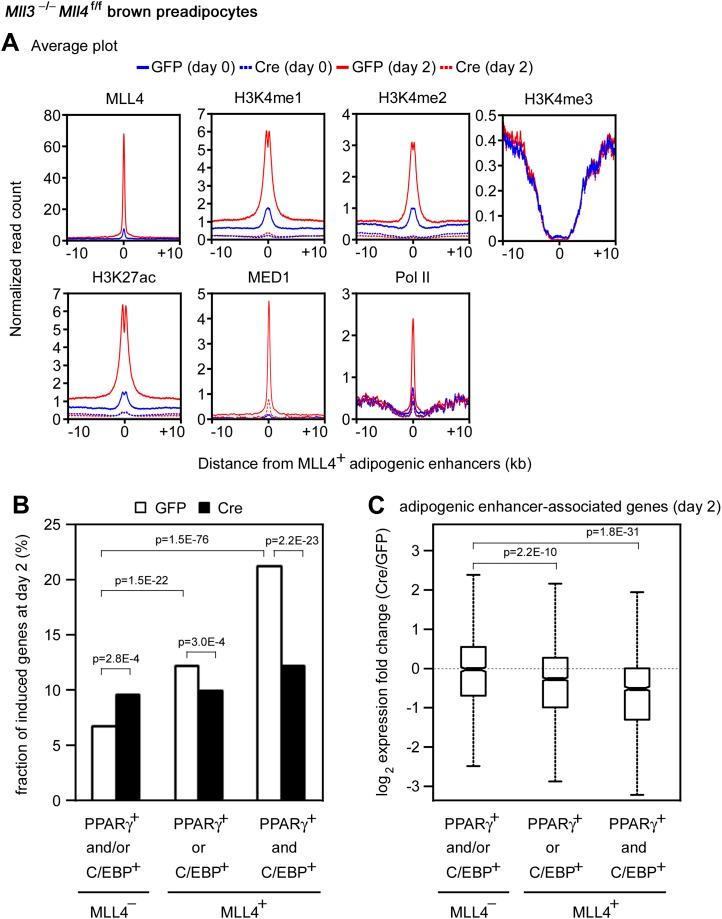 https://cdn.ncbi.nlm.nih.gov/pmc/blobs/4800/3869375/7540ec579855/elife-01503-fig7.jpg