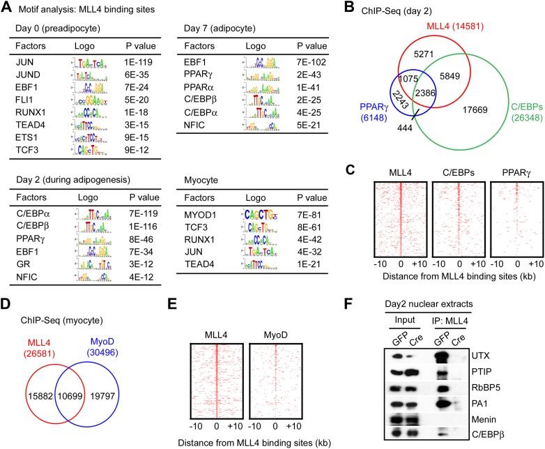 https://cdn.ncbi.nlm.nih.gov/pmc/blobs/4800/3869375/a11c4173917f/elife-01503-fig4.jpg