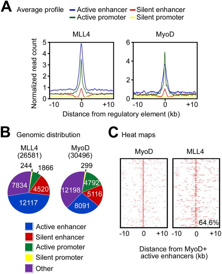 https://cdn.ncbi.nlm.nih.gov/pmc/blobs/4800/3869375/e900ffb8d2e4/elife-01503-fig5-figsupp1.jpg