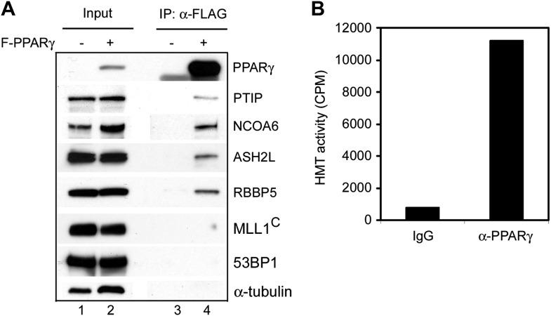 https://cdn.ncbi.nlm.nih.gov/pmc/blobs/4800/3869375/f1bcb71f92b5/elife-01503-fig4-figsupp3.jpg