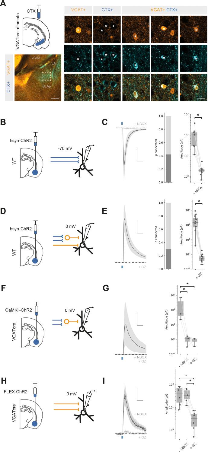 https://cdn.ncbi.nlm.nih.gov/pmc/blobs/4803/8654375/2e85244eaa33/elife-74758-fig2.jpg