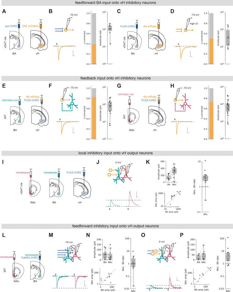 https://cdn.ncbi.nlm.nih.gov/pmc/blobs/4803/8654375/30ceba09f7b6/elife-74758-fig5.jpg