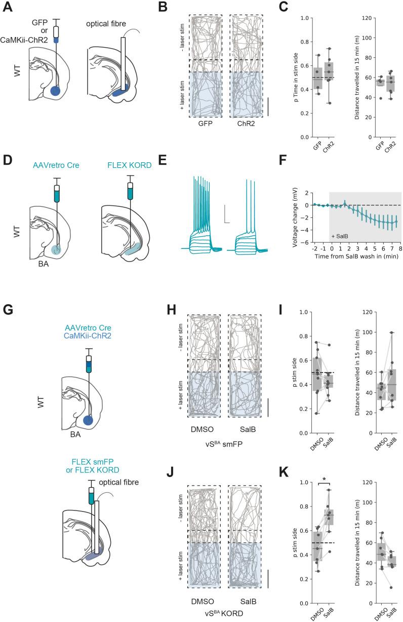 https://cdn.ncbi.nlm.nih.gov/pmc/blobs/4803/8654375/546e701693f7/elife-74758-fig8.jpg