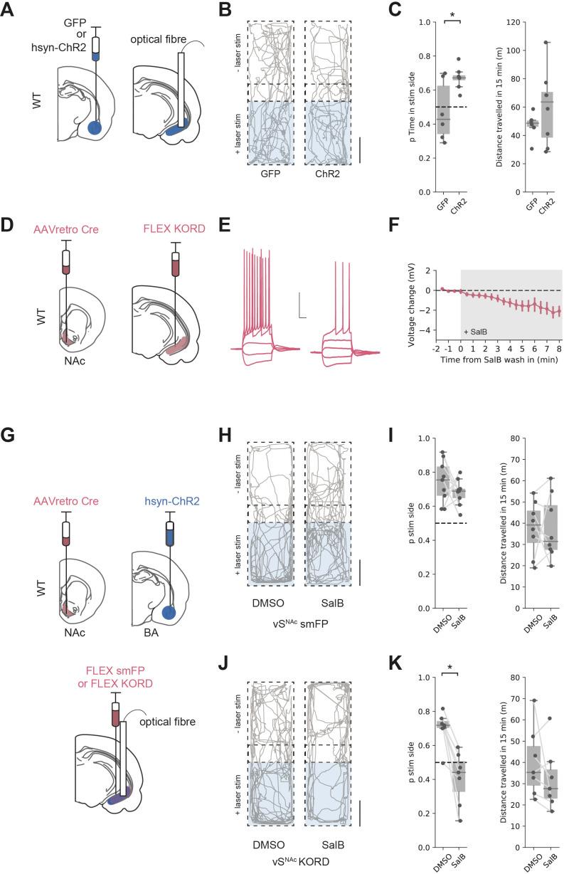 https://cdn.ncbi.nlm.nih.gov/pmc/blobs/4803/8654375/f59853b54984/elife-74758-fig7.jpg