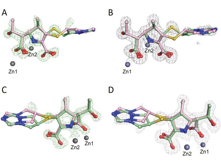 https://cdn.ncbi.nlm.nih.gov/pmc/blobs/4806/8944426/137dfb548cda/antibiotics-11-00396-g003.jpg