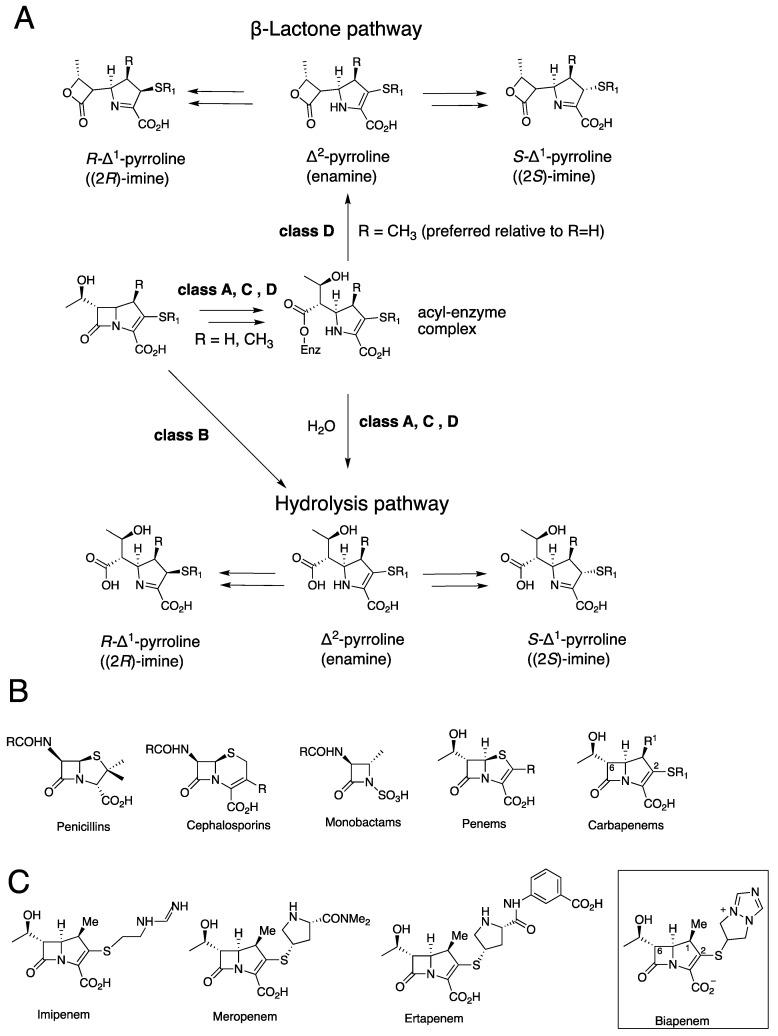 https://cdn.ncbi.nlm.nih.gov/pmc/blobs/4806/8944426/e17c7143ea7c/antibiotics-11-00396-g001.jpg