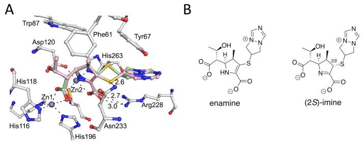 https://cdn.ncbi.nlm.nih.gov/pmc/blobs/4806/8944426/e48a627357a4/antibiotics-11-00396-g004.jpg