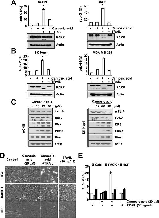 https://cdn.ncbi.nlm.nih.gov/pmc/blobs/4821/4359314/31c569beb549/oncotarget-06-1556-g006.jpg