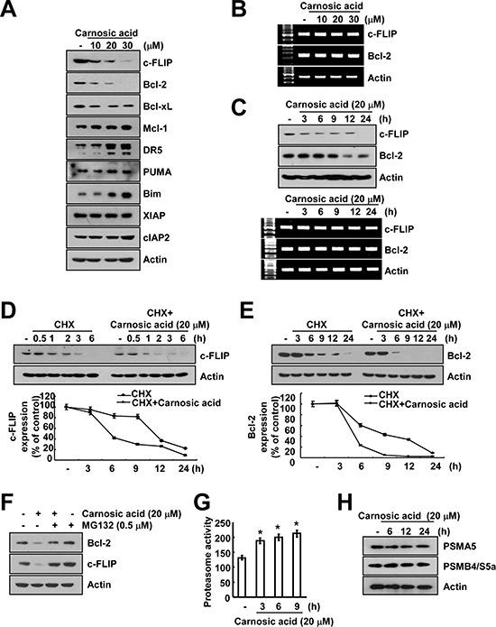 https://cdn.ncbi.nlm.nih.gov/pmc/blobs/4821/4359314/8536fa06b820/oncotarget-06-1556-g003.jpg