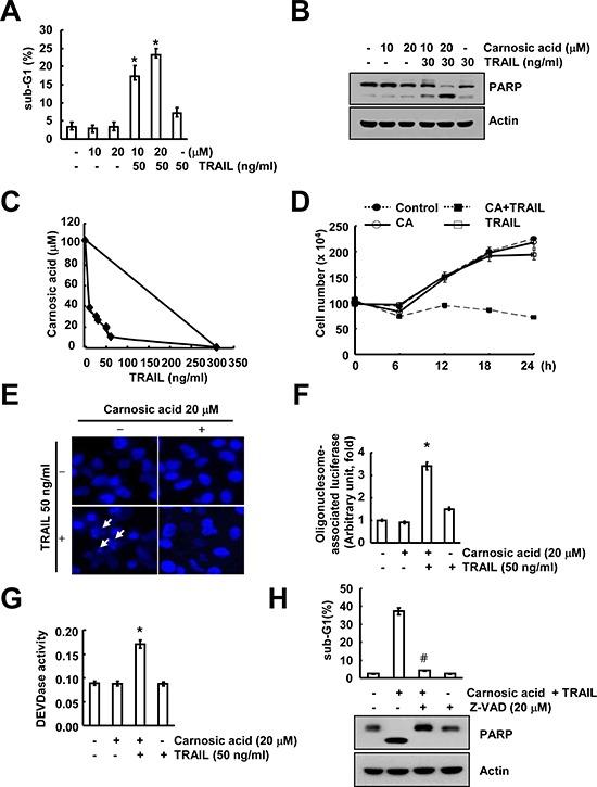 https://cdn.ncbi.nlm.nih.gov/pmc/blobs/4821/4359314/a4554ed6bb42/oncotarget-06-1556-g001.jpg