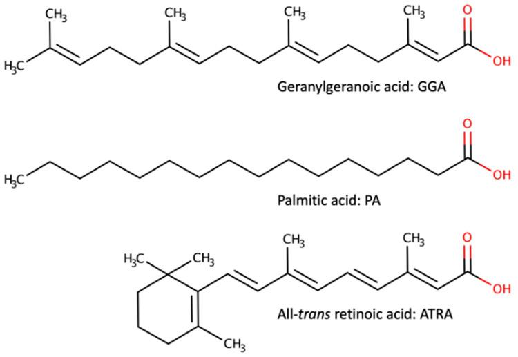 https://cdn.ncbi.nlm.nih.gov/pmc/blobs/4824/11119665/69ddef954656/cells-13-00809-g003.jpg