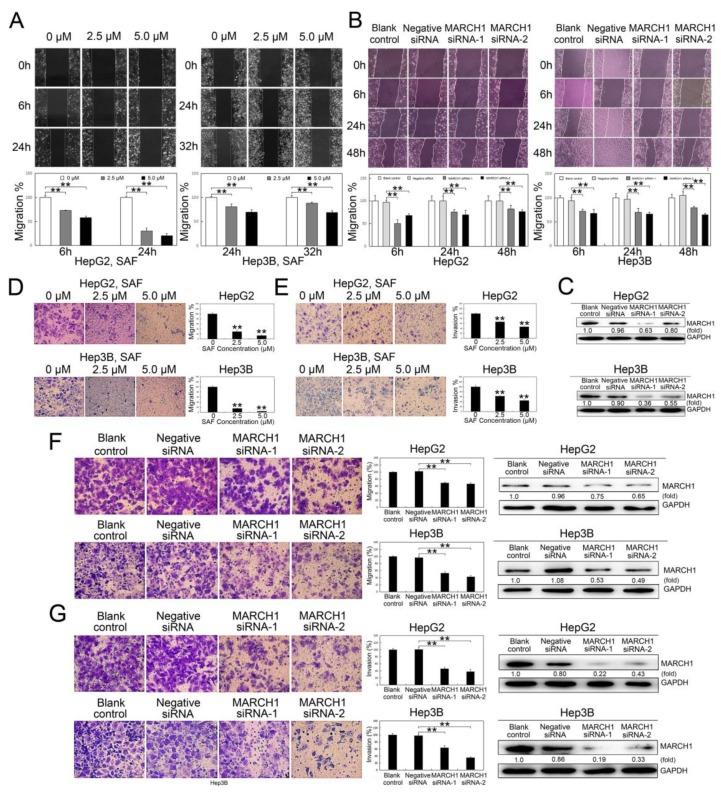 https://cdn.ncbi.nlm.nih.gov/pmc/blobs/483c/6385111/8a0f649b51c0/molecules-24-00393-g003.jpg
