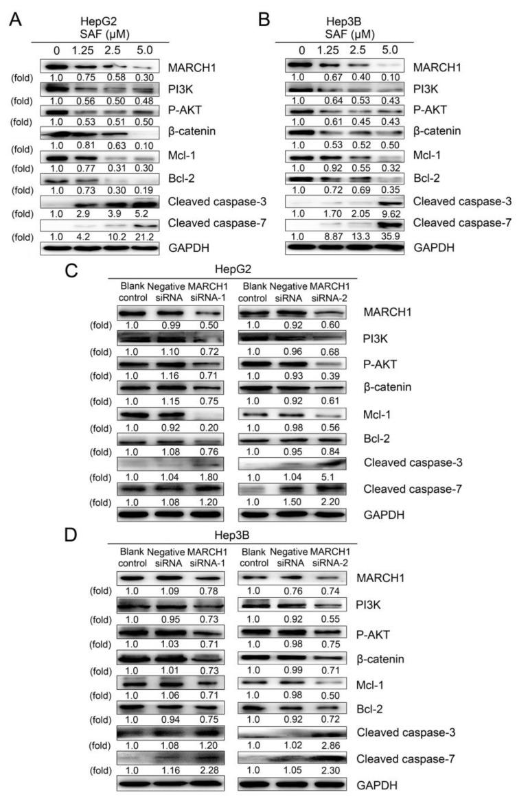 https://cdn.ncbi.nlm.nih.gov/pmc/blobs/483c/6385111/8b75977a43ef/molecules-24-00393-g005.jpg