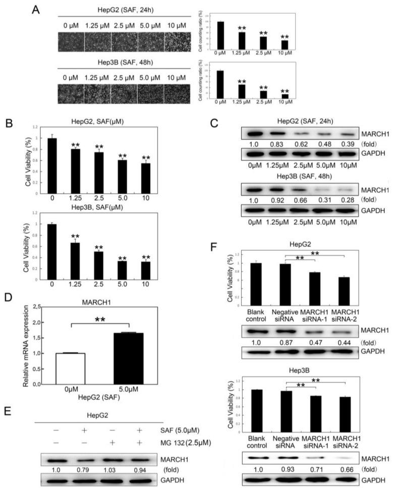 https://cdn.ncbi.nlm.nih.gov/pmc/blobs/483c/6385111/92d663cd84a2/molecules-24-00393-g001.jpg
