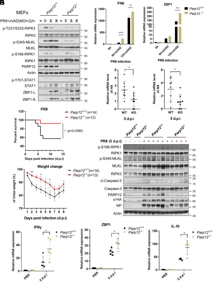 https://cdn.ncbi.nlm.nih.gov/pmc/blobs/483e/12184365/3b3cc0b3fb27/pnas.2426660122fig07.jpg