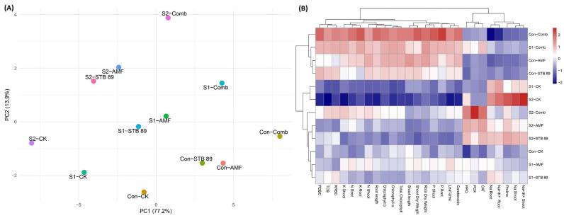 https://cdn.ncbi.nlm.nih.gov/pmc/blobs/4842/12196076/e18ee5fbd654/microorganisms-13-01345-g006.jpg