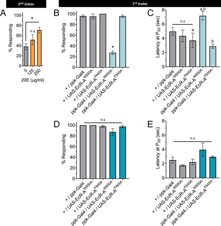 https://cdn.ncbi.nlm.nih.gov/pmc/blobs/486e/8967384/052c01646f95/elife-76464-fig3.jpg