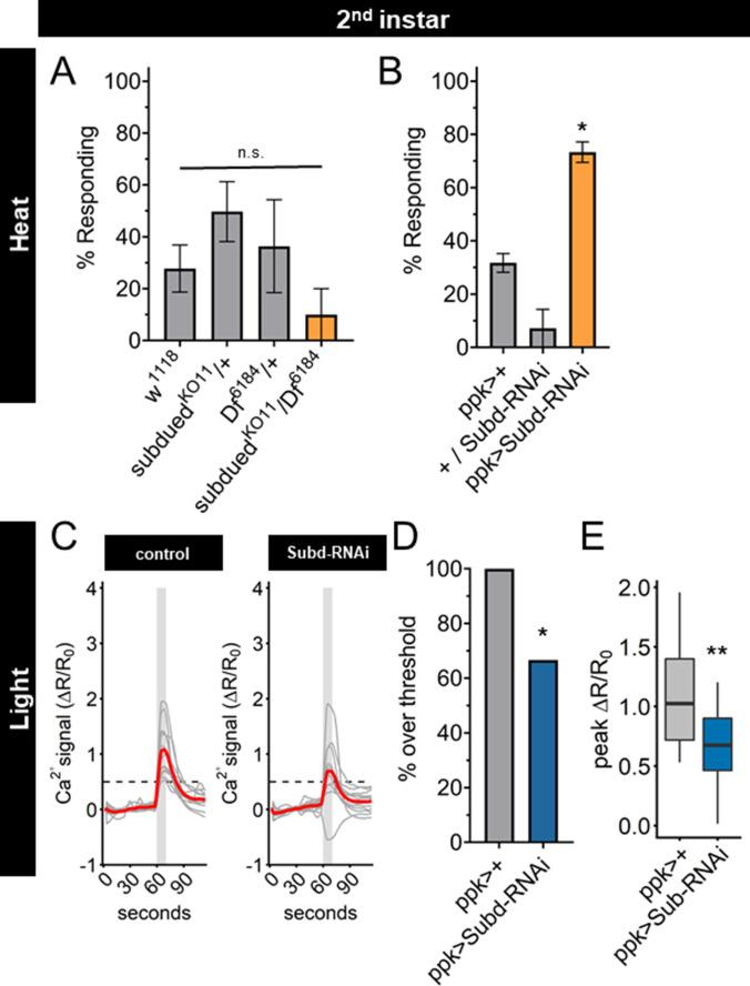 https://cdn.ncbi.nlm.nih.gov/pmc/blobs/486e/8967384/26bdc0dd1a45/elife-76464-fig6.jpg