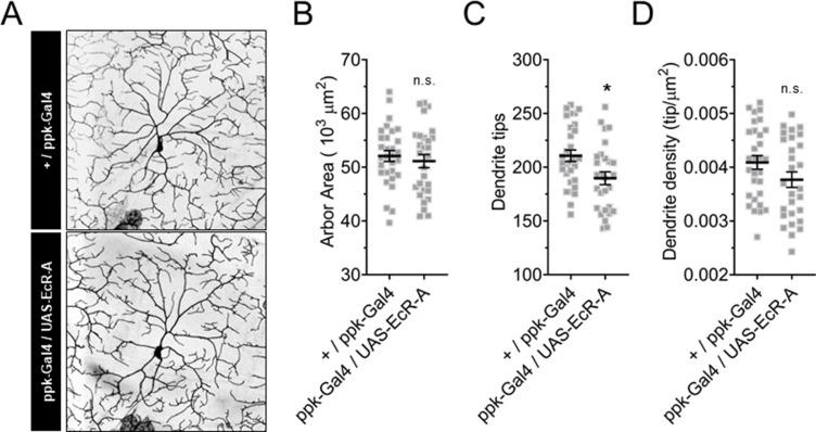 https://cdn.ncbi.nlm.nih.gov/pmc/blobs/486e/8967384/4444975fdc70/elife-76464-fig4-figsupp1.jpg